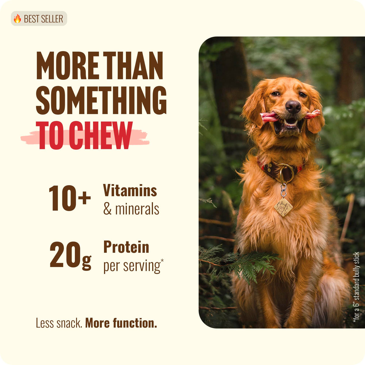 Natural Farm Odor-Free Bully Sticks (6 Inch, 25 count),1.3 lb. Bag, Fully Digestible 100% Beef Pizzle Chews,Grass-Fed, Non-GMO,Grain-Free, Natural Long-Lasting Chews for Small & Large Dogs. Pack of 25