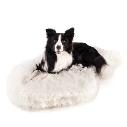 PAW BRANDS PupRug Orthopedic Memory Foam Dog Bed, White/Brown, 50x30