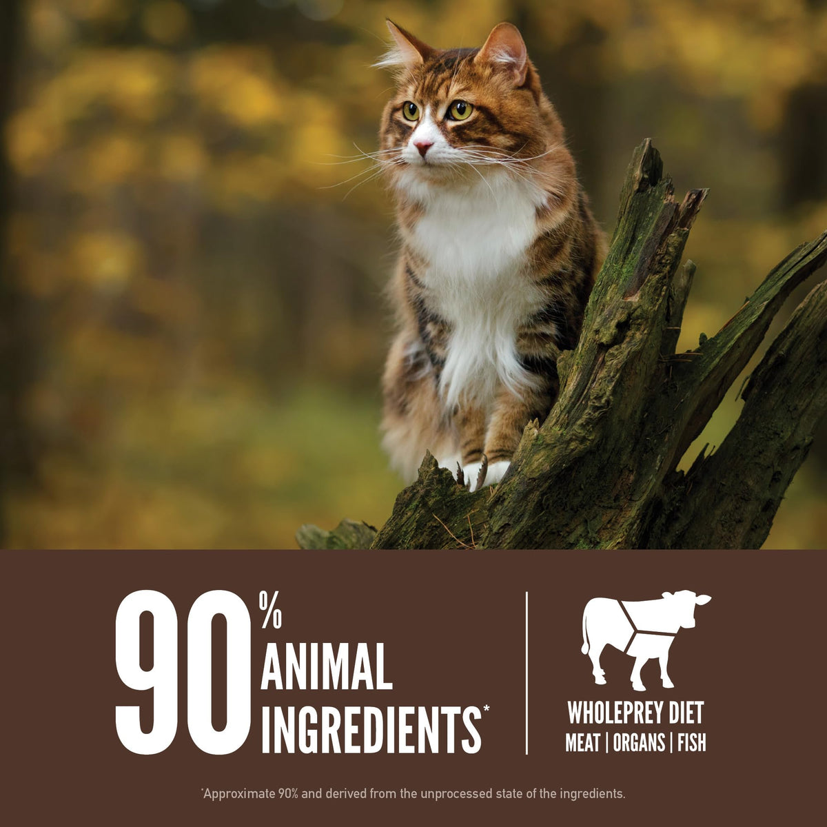 ORIJEN Fit & Trim Grain Free WHOLEPREY Dry Cat Food 4lb Bag