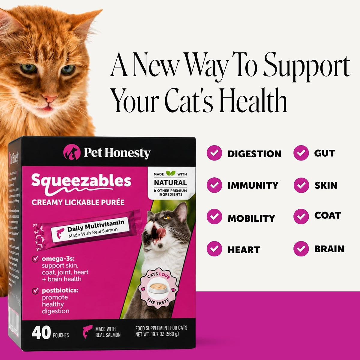 Pet Honesty Vet Backed Cat Multivitamin Lickable Puree, Salmon, 40 Ct