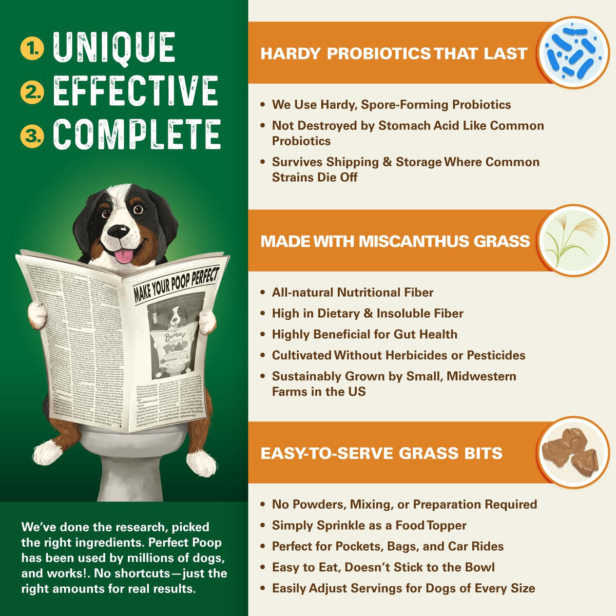 Bernie's Perfect Poop 4-in-1 Digestion Supplement, 2 Flavor Bundle, 12.8 oz