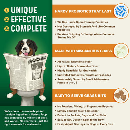Bernie's Perfect Poop 4-in-1 Digestion Supplement, 2 Flavor Bundle, 12.8 oz