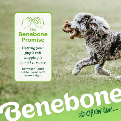 Benebone Medium 4-Pack Dog Toys for Aggressive Chewers – Under 60 lbs