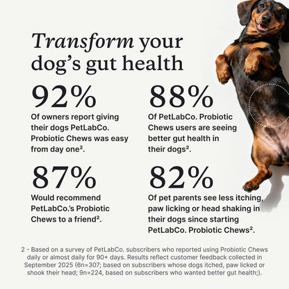 PetLab Co. Probiotic Chews for Dogs, 30 Soft Chews, Pork