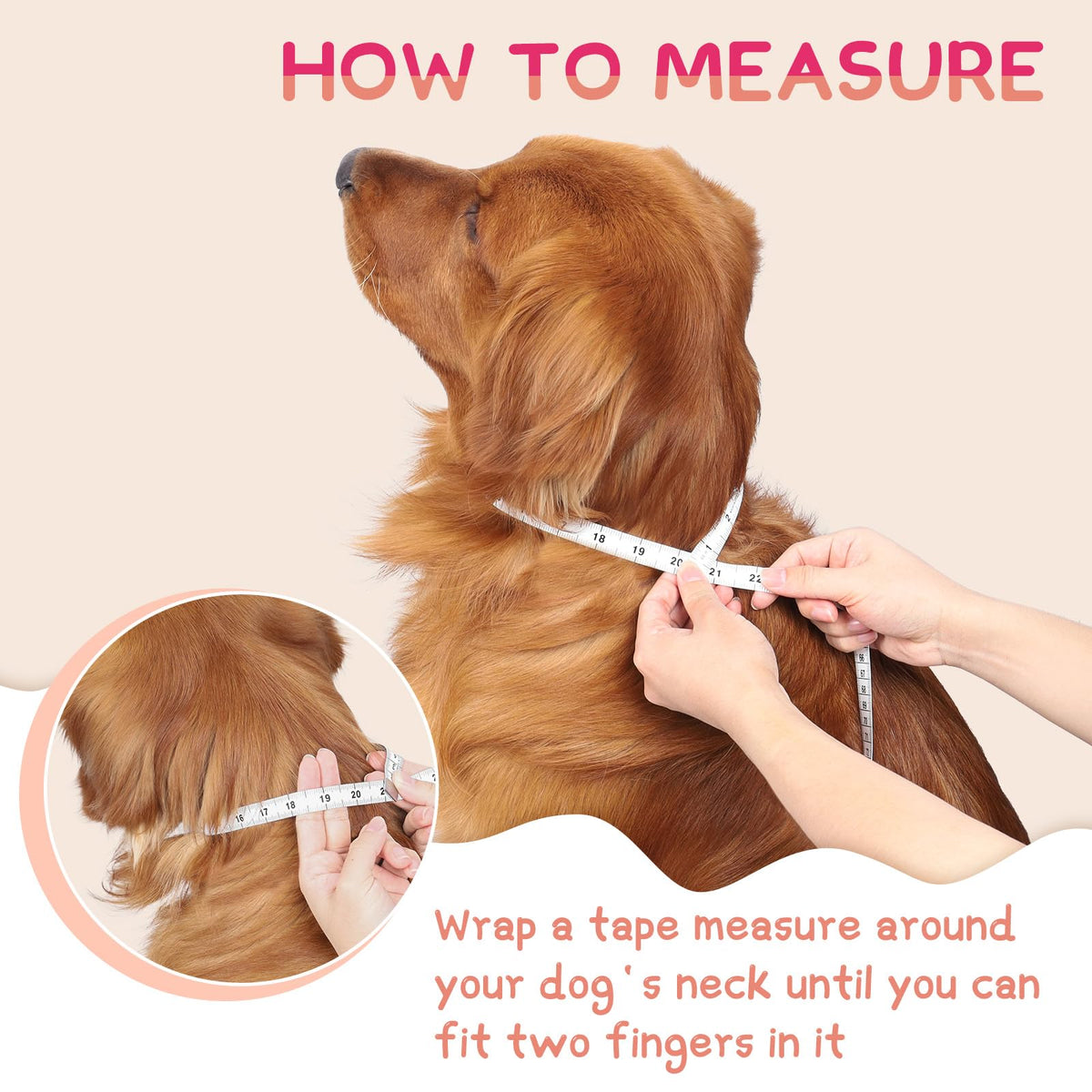 Supet Inflatable Dog Cone Collar for Small Dogs Puppies Cats, Soft Dog Cone Alternative After Surgery for Puppies Cats to Stop Licking