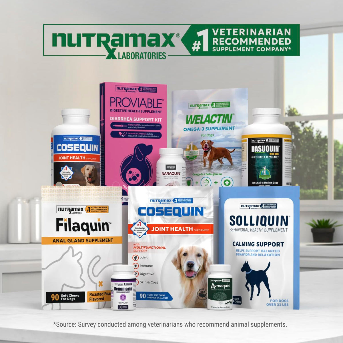 Nutramax Dasuquin MSM Joint Supplement for Large Dogs, Soft Chews, 84ct