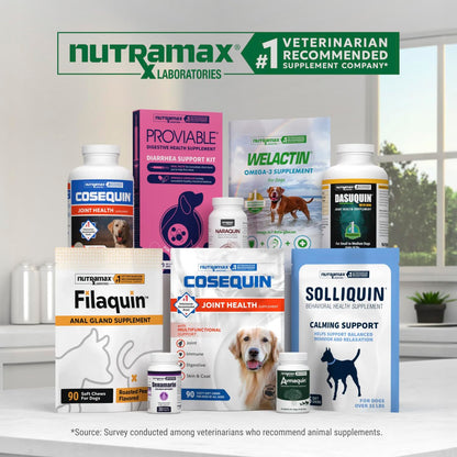 Nutramax Dasuquin MSM Joint Supplement for Large Dogs, Soft Chews, 84ct