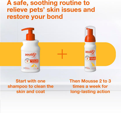 Douxo S3 PYO Medicated Dog Shampoo with 3% Chlorhexidine for Dogs – Antibacterial & Antiseptic Yeast Infection Treatment For Dogs & Cats, Clinically Proven, 6.7 fl oz