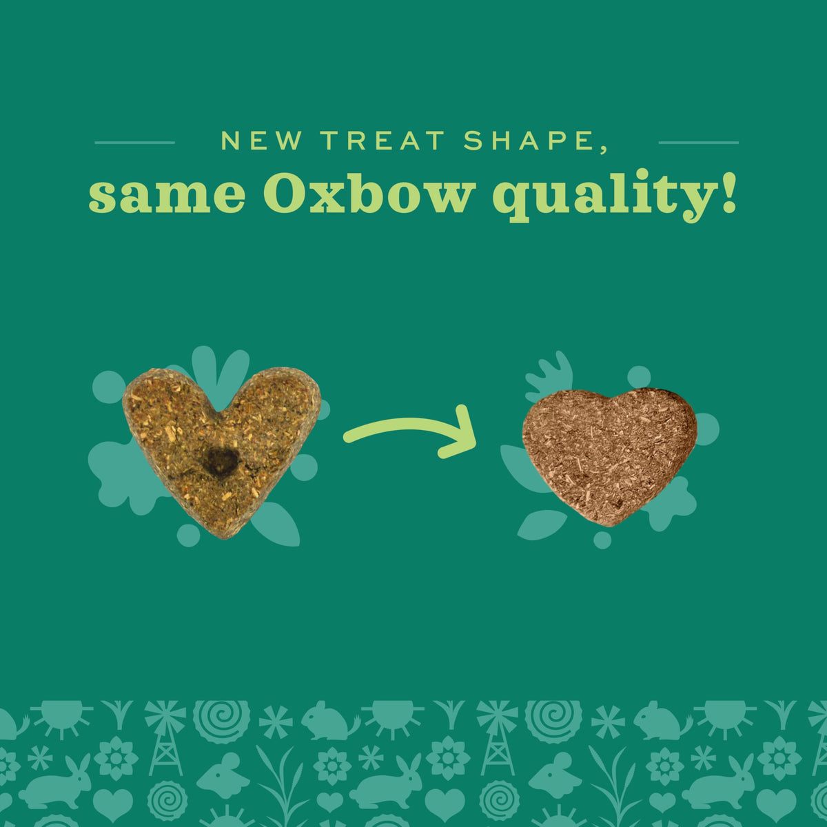 Oxbow Simple Rewards Guinea Pig & Rabbit Treats, Apple Banana, Baked, 3 oz