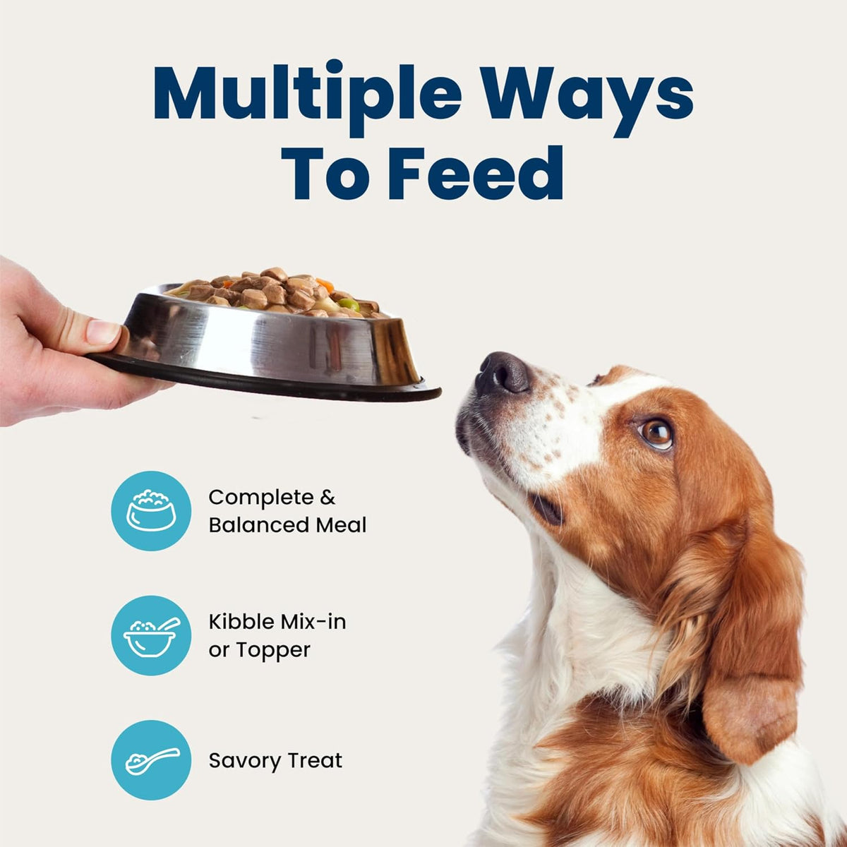 Blue Buffalo Blue's Stew Variety Pack Wet Dog Food, 12.5 oz, 6 ct