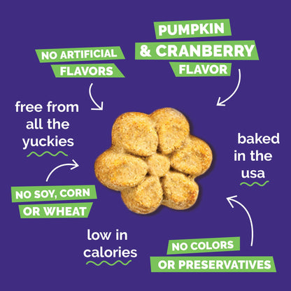 Fruitables Baked Dog Treats, Low Calorie Treats, Pumpkin & Blueberry, 12oz