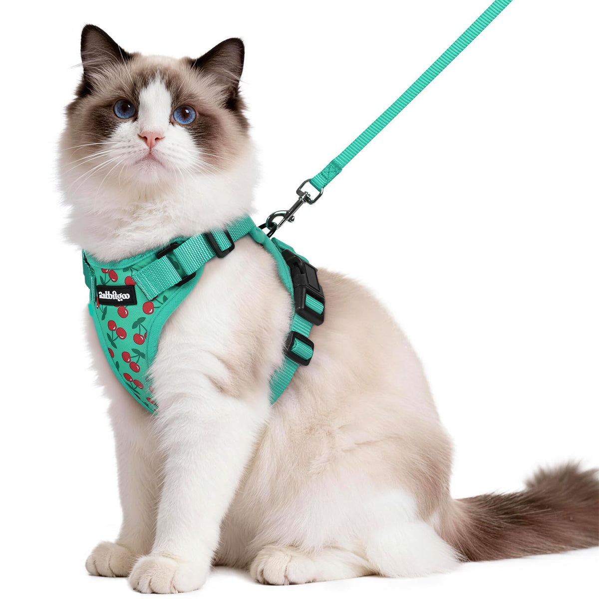 rabbitgoo Cat Harness and Leash Set, Escape Proof Vest, Emerald