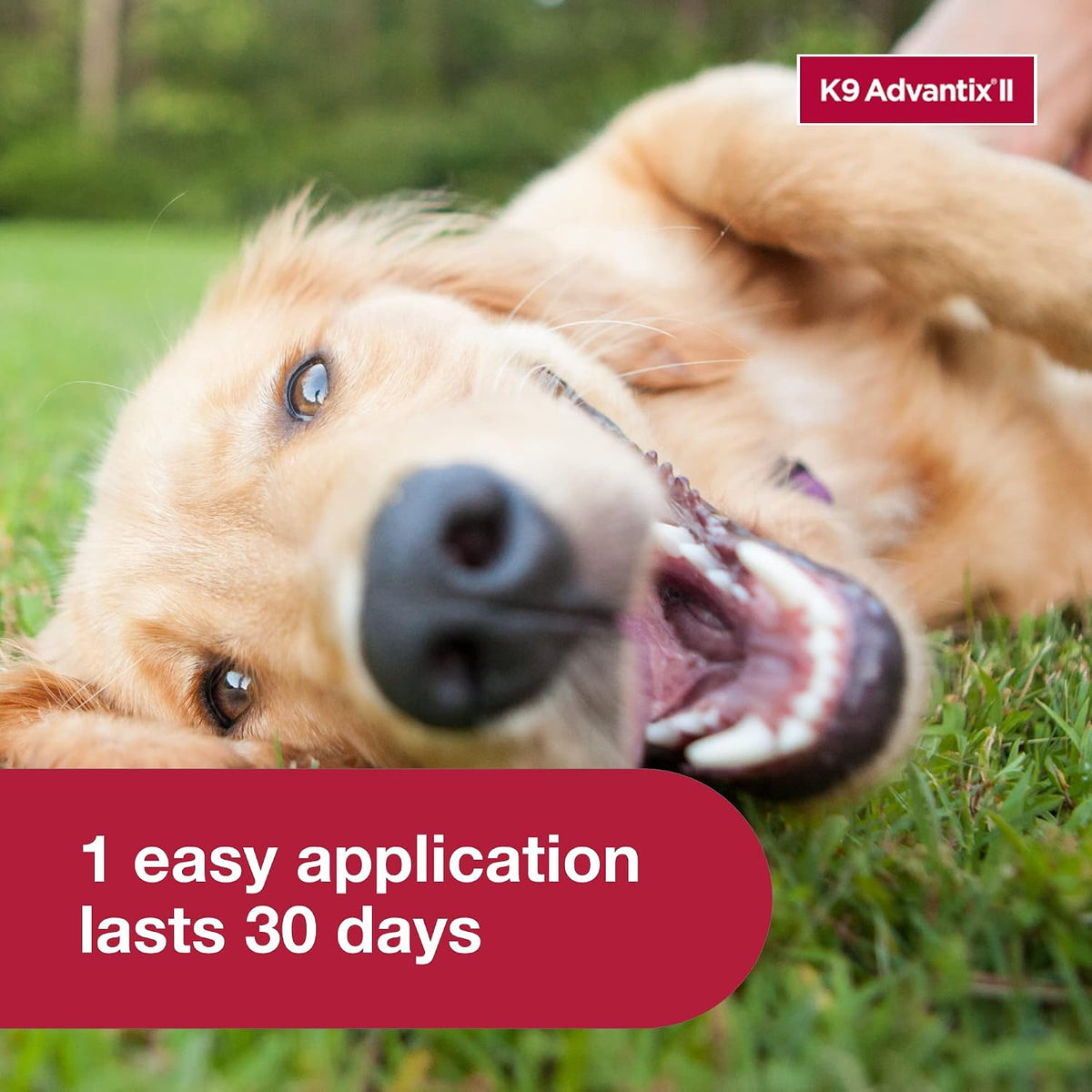 K9 Advantix II Flea & Tick Topical for Large Dogs 21–55 lbs., 2ct