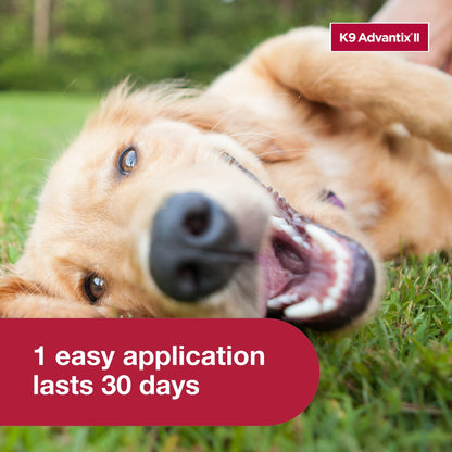 K9 Advantix II Flea & Tick Topical for Large Dogs 21–55 lbs., 2ct