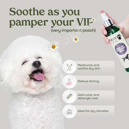 PAWFUME Dog Shampoo and Conditioner, Blue Ribbon, 1-Pack