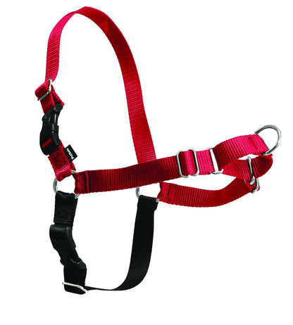 PetSafe Easy Walk Harness, No Pull Dog Harness, Raspberry, Medium/Large