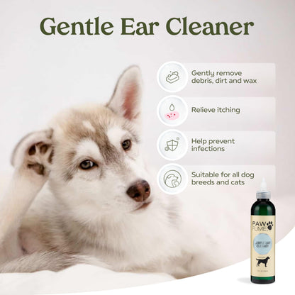 Paw Fume Dog Perfume Spray Long Lasting, Show Dog, 1-Pack