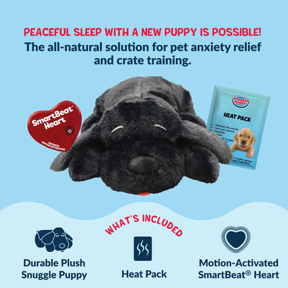 Snuggle Puppy Heartbeat Toy, Calming Comfort, Medium Breeds - Biscuit