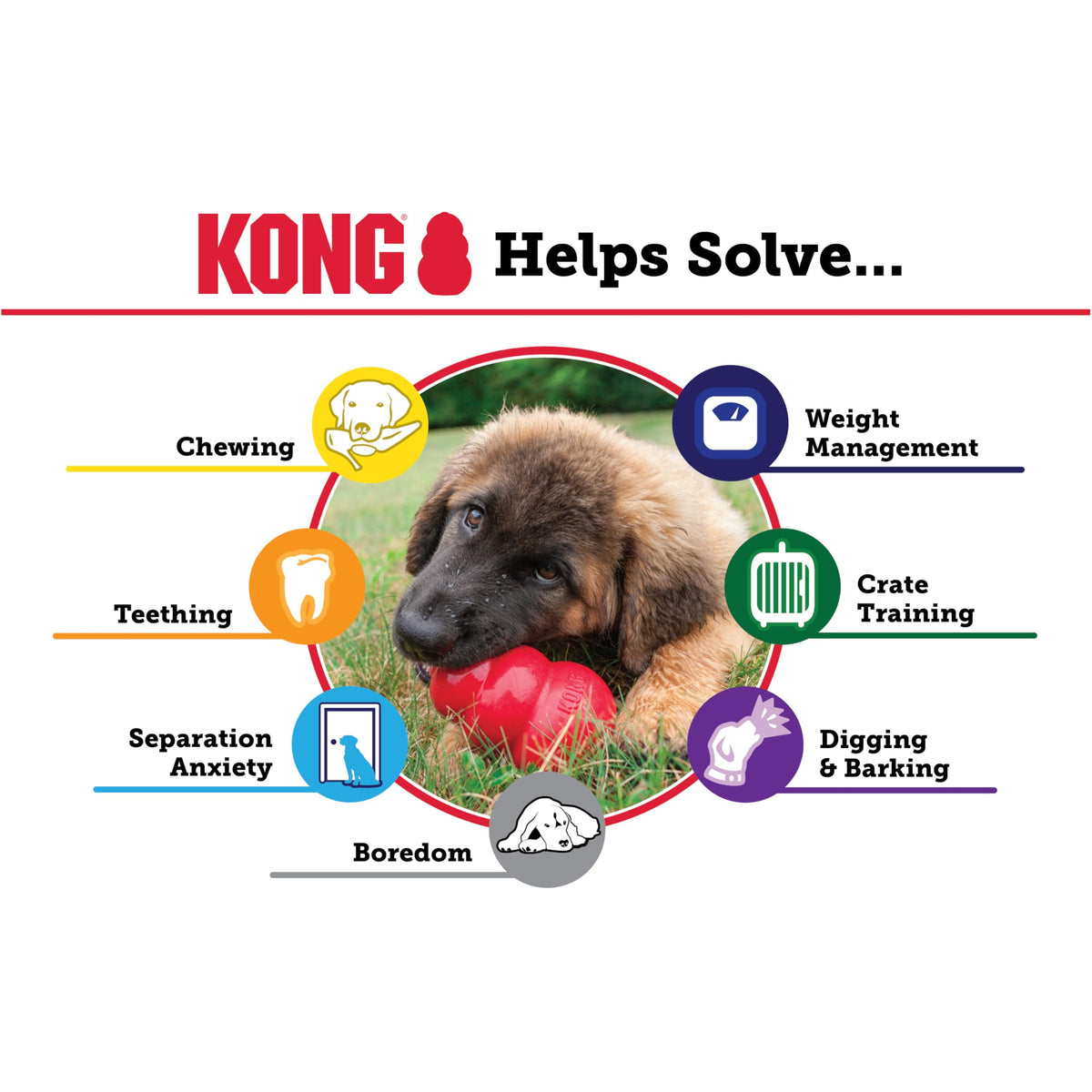 KONG Classic Stuffable Dog Toy, Natural Rubber Chew, for Large Dogs