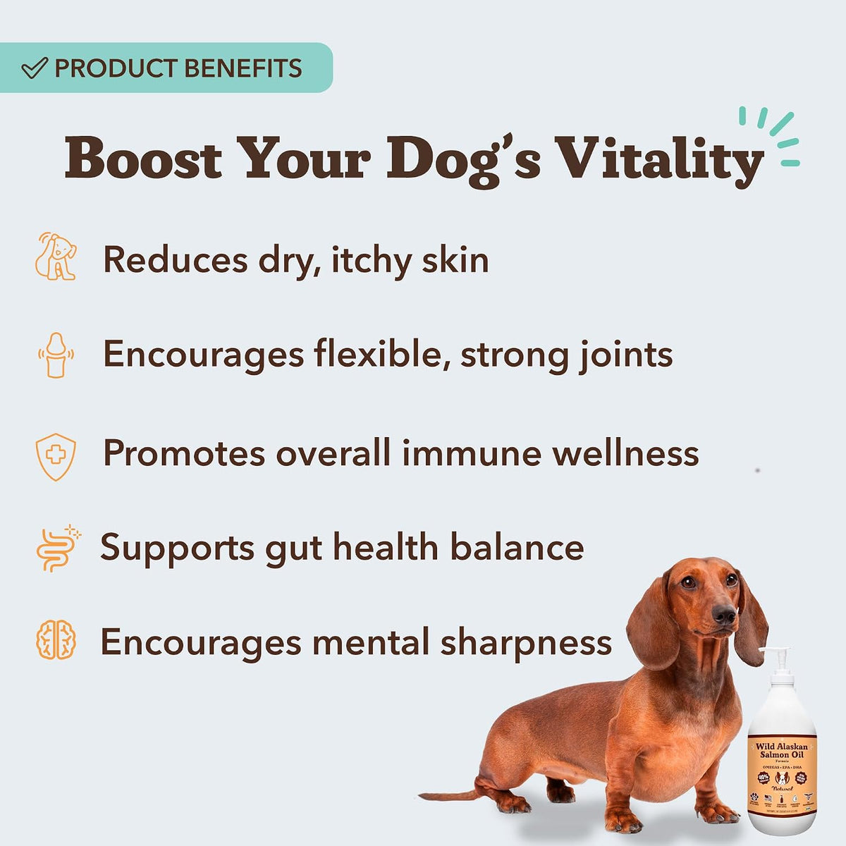 Natural Dog Company Wild Alaskan Salmon Oil for Dogs - 64 oz