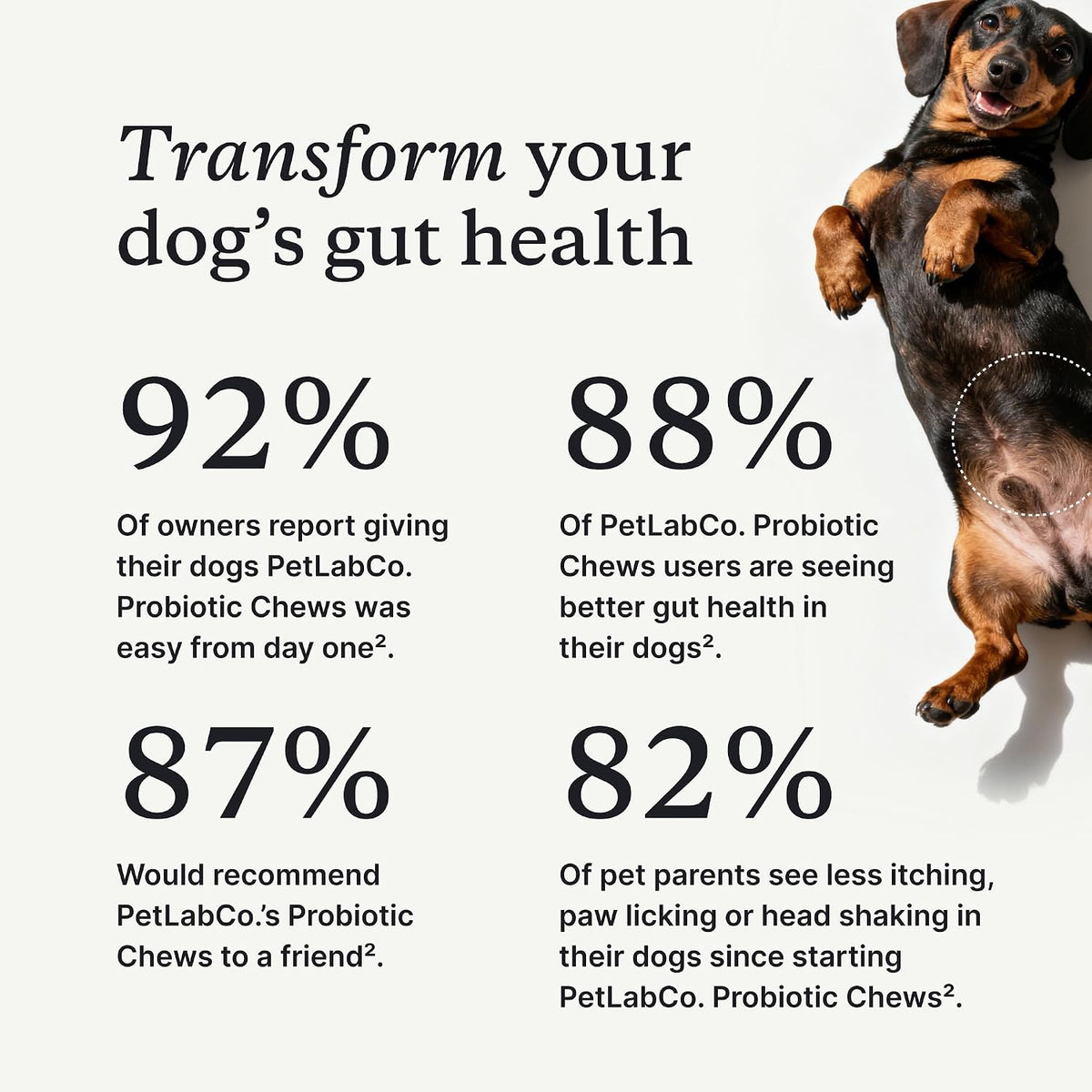 PetLab Co. Probiotic Chews for Dogs, 30 Soft Chews, Pork