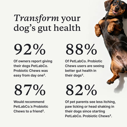 PetLab Co. Probiotic Chews for Dogs, 30 Soft Chews, Salmon