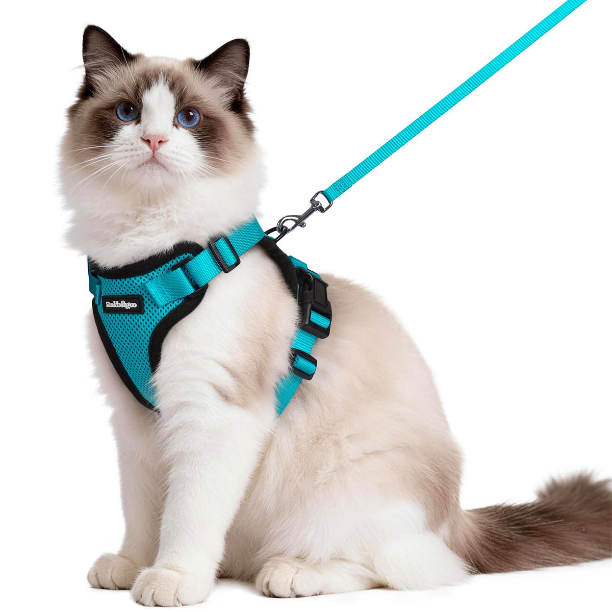 rabbitgoo Cat Harness and Leash Set, Escape Proof Vest, Emerald