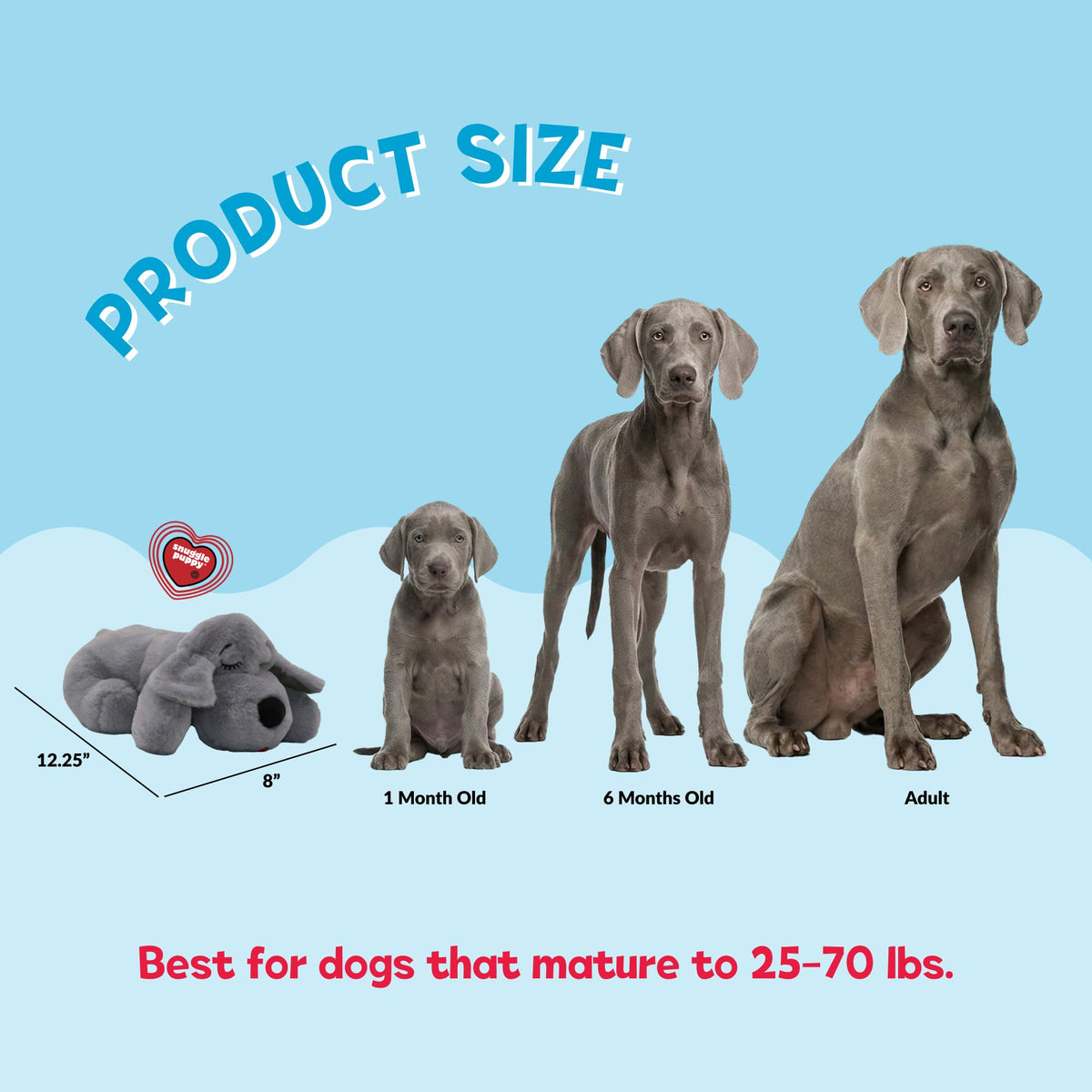 Snuggle Puppy Heartbeat Toy, Calming Comfort, Medium Breeds - Biscuit