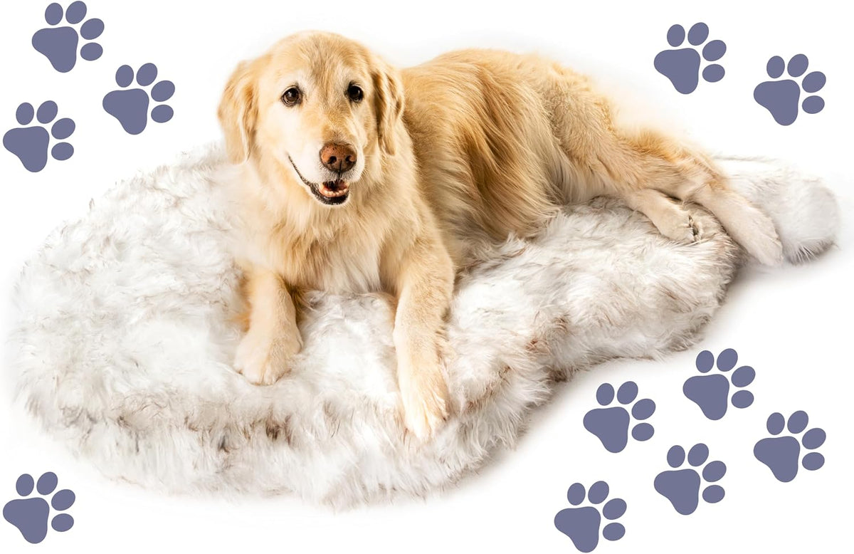 PAW BRANDS PupRug Orthopedic Memory Foam Dog Bed, White/Brown, 50x30