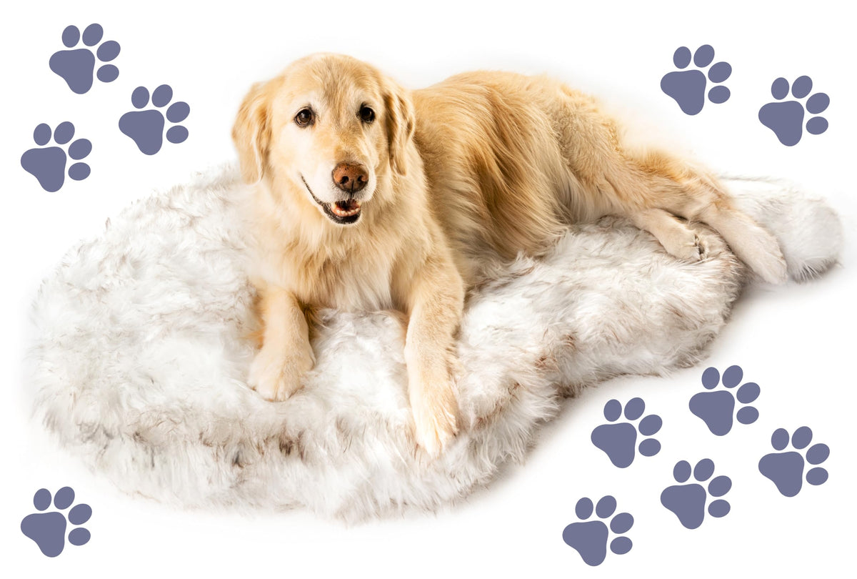 PAW BRANDS PupRug Orthopedic Memory Foam Dog Bed, White/Brown, 50x30