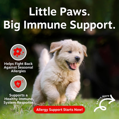 Zesty Paws Dog Allergy Chews - Dog Allergy Relief, Lamb, 90 Ct