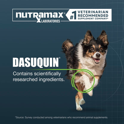 Nutramax Dasuquin MSM Joint Supplement for Large Dogs, Soft Chews, 84ct