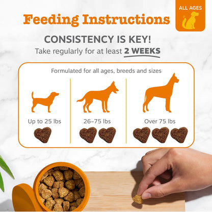Zesty Paws Probiotics for Dogs, Digestive Enzymes Gut Flora, Digestive Health, Diarrhea & Bowel Support, DE111, Dog Probiotics Soft Chew for Pet Immune System, Chicken, 50 Ct