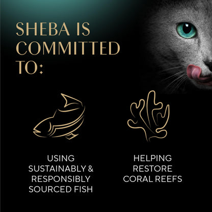 Sheba Perfect Portions Pate Wet Cat Food, Seafood Variety, 2.6 oz, 24 ct