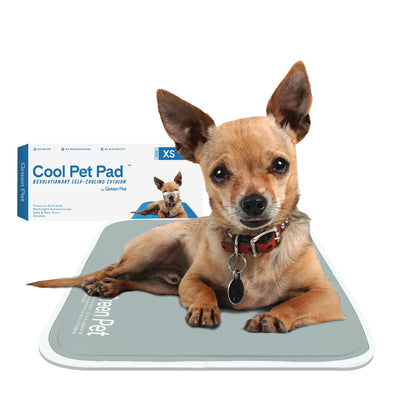 The Green Pet Shop Cool Pet Pad - Medium, Sage Grey - Self-Cooling, Pressure Activated Mat for Dogs & Cats from 21-45 lbs - Non-Toxic Gel, No Water Needed