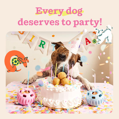 WOOF Pupsicle Birthday Refill Pops Dog Treats, Large