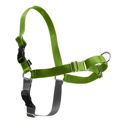 PetSafe Easy Walk Harness, No Pull Dog Harness, Raspberry, Medium/Large