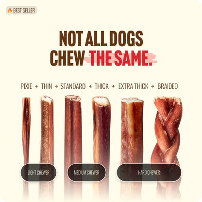 Natural Farm Odor-Free Bully Sticks (6 Inch, 25 count),1.3 lb. Bag, Fully Digestible 100% Beef Pizzle Chews,Grass-Fed, Non-GMO,Grain-Free, Natural Long-Lasting Chews for Small & Large Dogs. Pack of 25