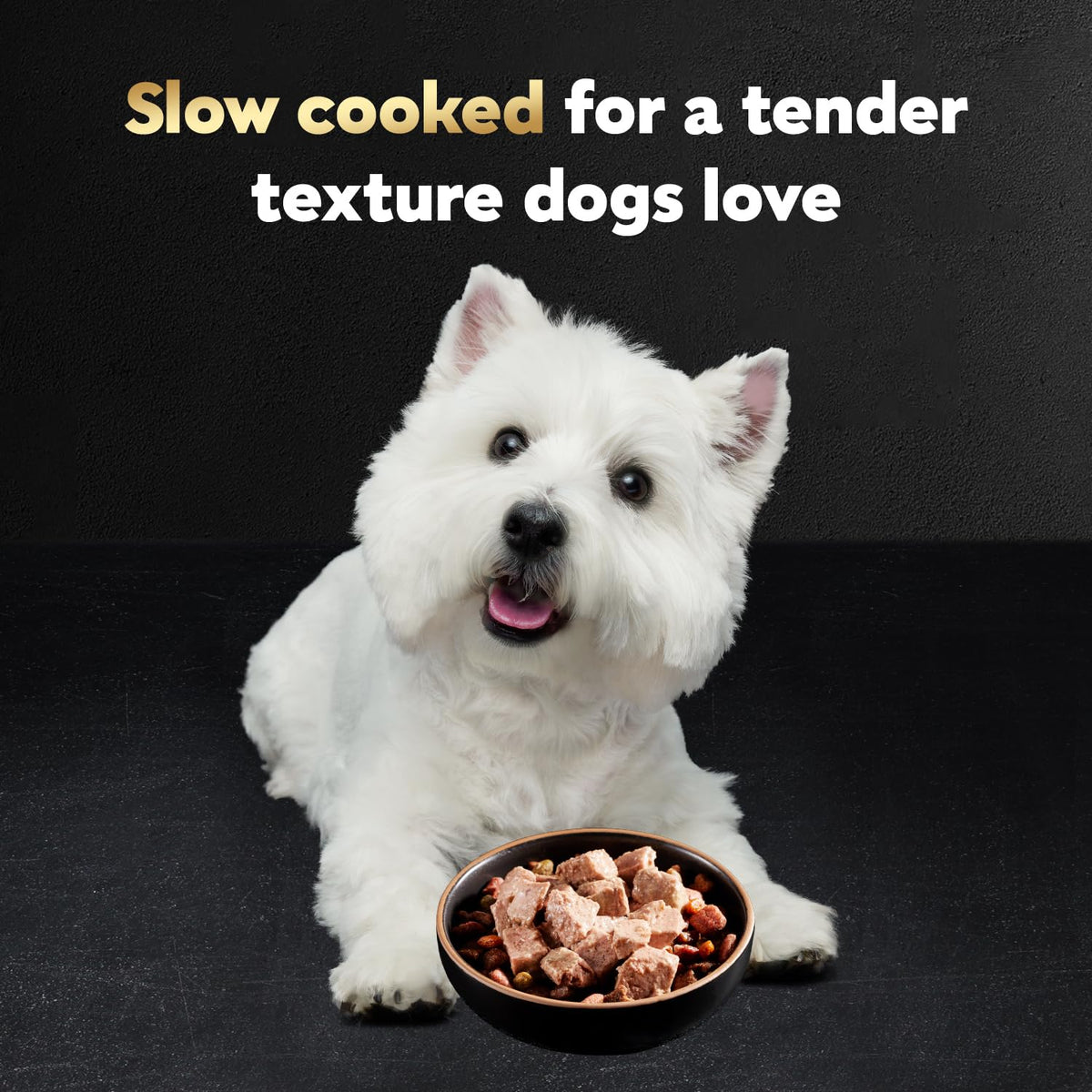 Cesar Classic Loaf in Sauce Wet Dog Food, Meaty Selects, 3.5 oz, 36 Count