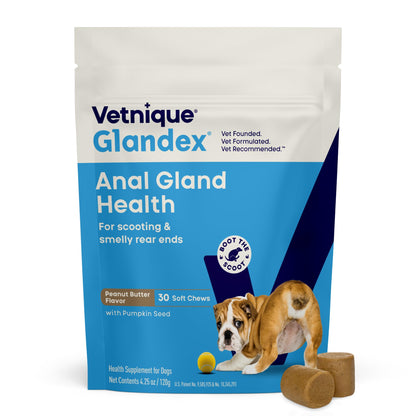 Vetnique Glandex for Dogs Anal Gland Chews 60ct Pumpkin + Digestive Enzymes