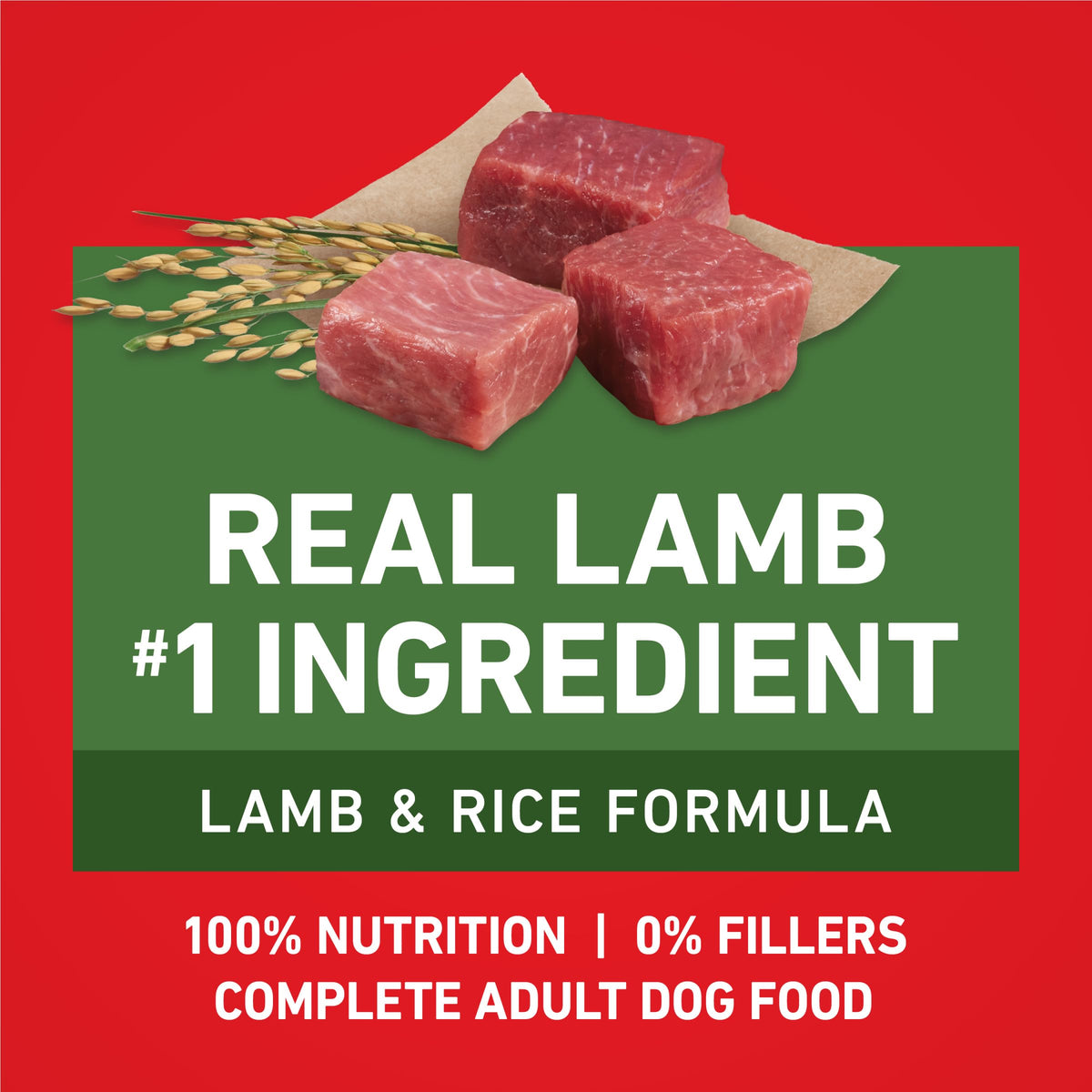 Purina ONE Lamb and Rice Formula Dry Dog Food for Digestive Support