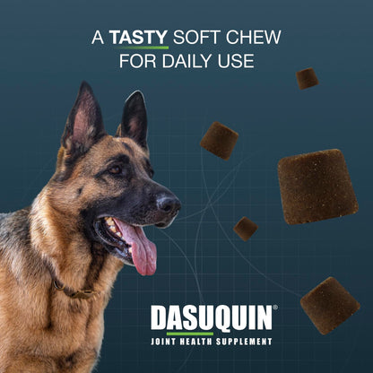 Nutramax Dasuquin MSM Joint Supplement for Large Dogs, Soft Chews, 150ct