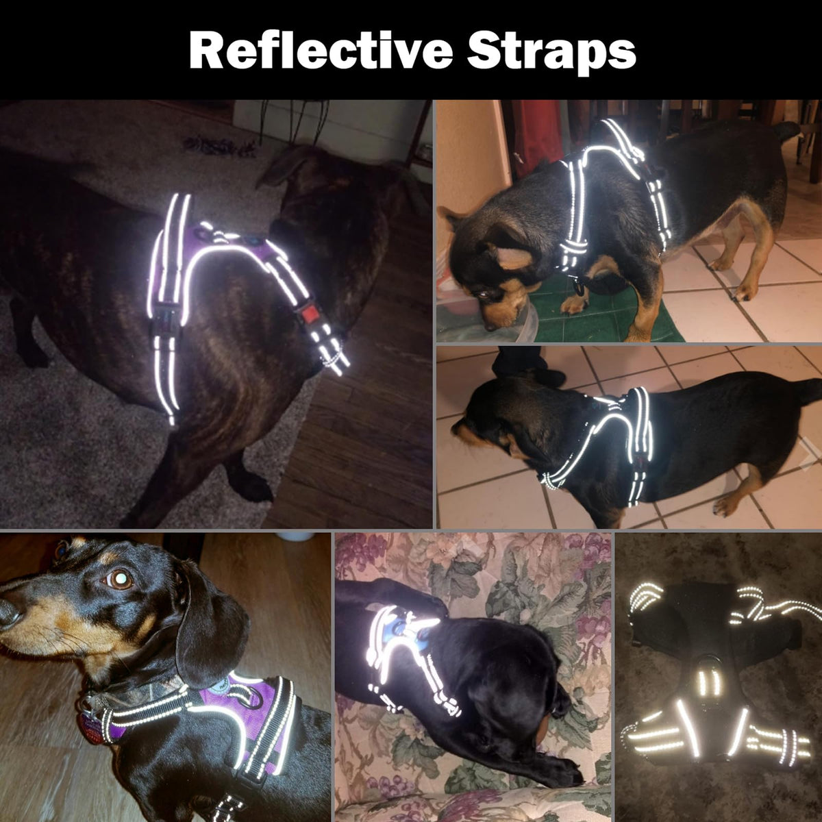 PHOEPET No Pull Dog Harness Medium Reflective Front Clip Vest with Handle