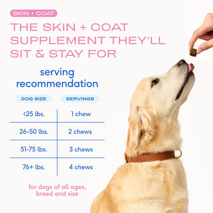 Native Pet Omega 3 Fish Oil for Dogs & Cats – Wild Alaskan Salmon Oil for Dogs Skin and Coat, Supports Joints, Heart & Shedding – Fast-Absorbing Omega 3 6 9 Liquid Supplement – 8oz