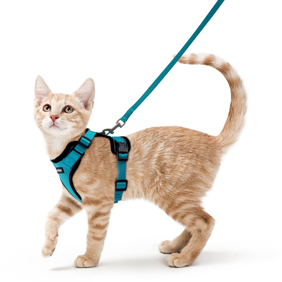 rabbitgoo Cat Harness and Leash Set, Escape Proof Vest, Emerald