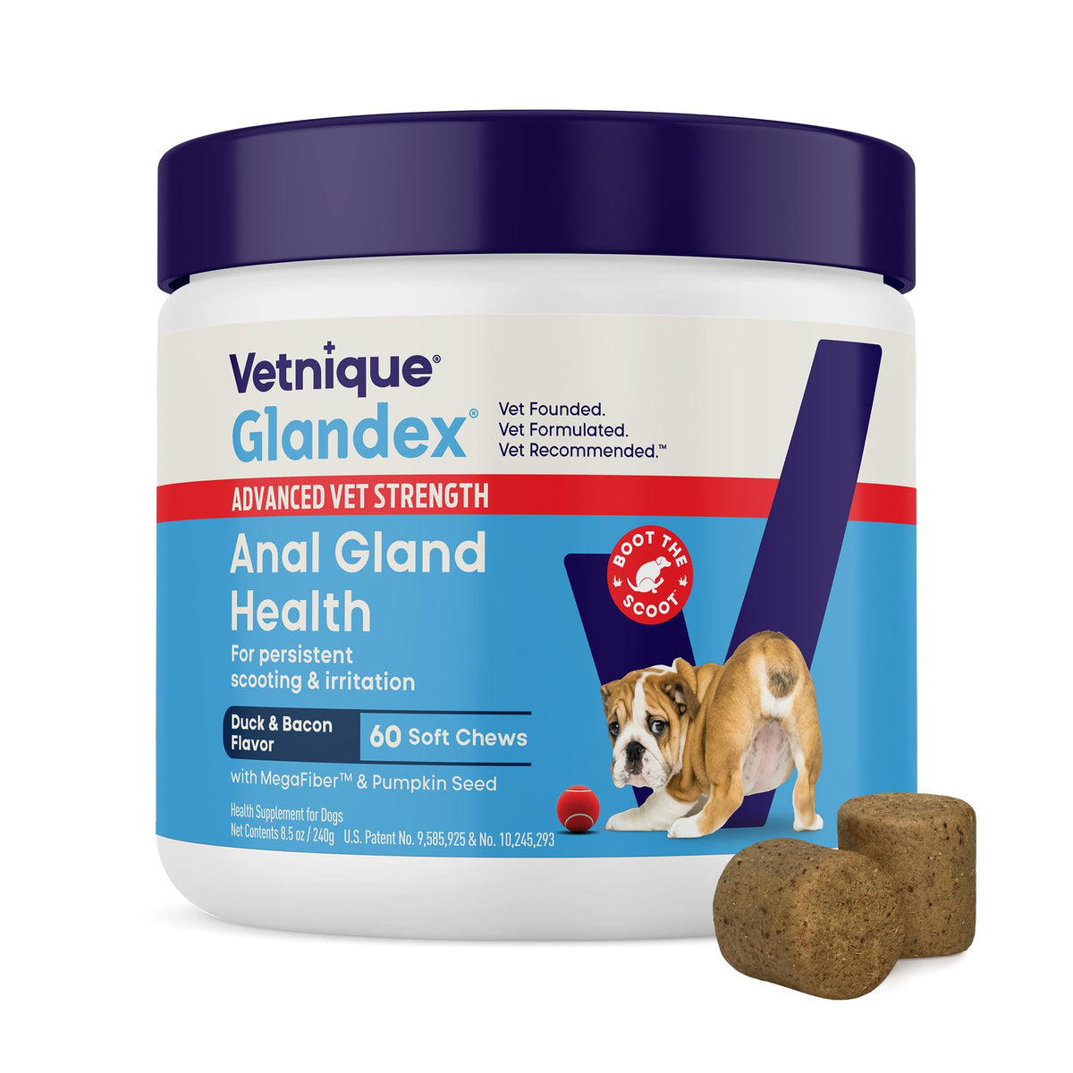 Vetnique Glandex for Dogs Anal Gland Chews 60ct Pumpkin + Digestive Enzymes