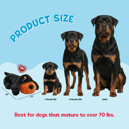 Snuggle Puppy Heartbeat Toy, Calming Comfort, Medium Breeds - Biscuit