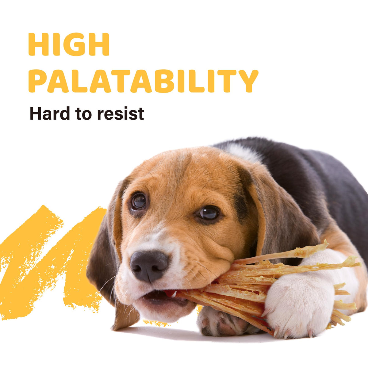 iPaw Turkey Tendon for Dogs Value Pack, All Natural Human Grade Puppy Chew