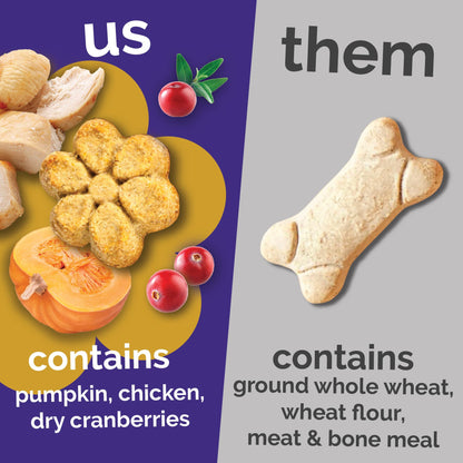 Fruitables Baked Dog Treats, Low Calorie Treats, Pumpkin & Blueberry, 12oz