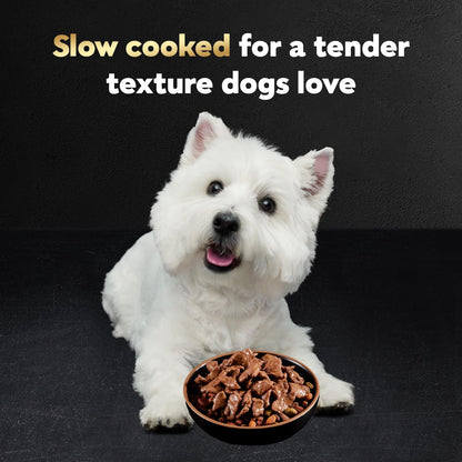 Cesar Filets in Gravy Wet Dog Food, Steak Mix Variety, 3.5 oz, 24 Count